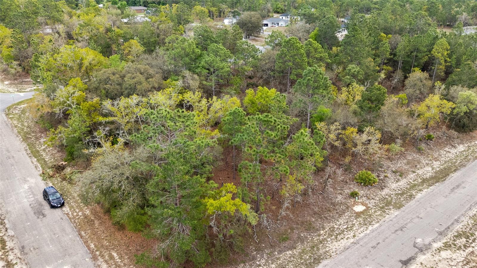 Listing photo id 0 for 1877 Pendleton Street