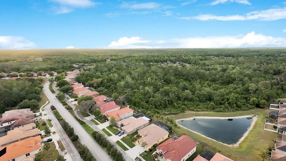 Image 47 of 62 For 11719 Belle Haven Drive