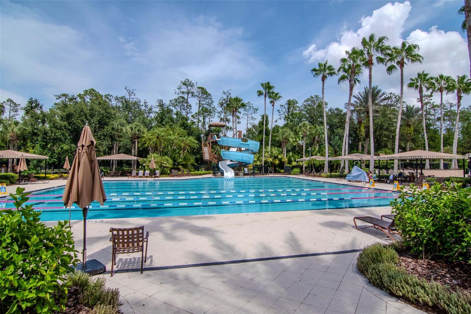 Image 32 of 33 For 4527 Scarlet Loop