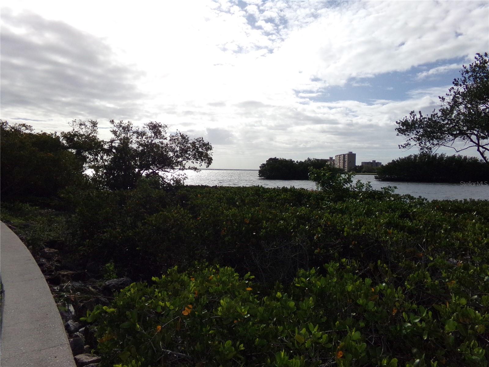 Image 38 of 41 For 2723 Via Capri  821