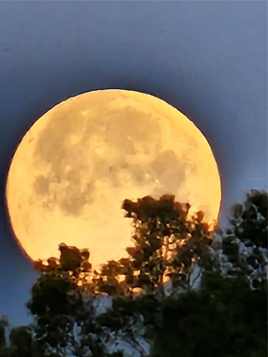 Image 13 of 13 For 3025 Sheppards Crook Court