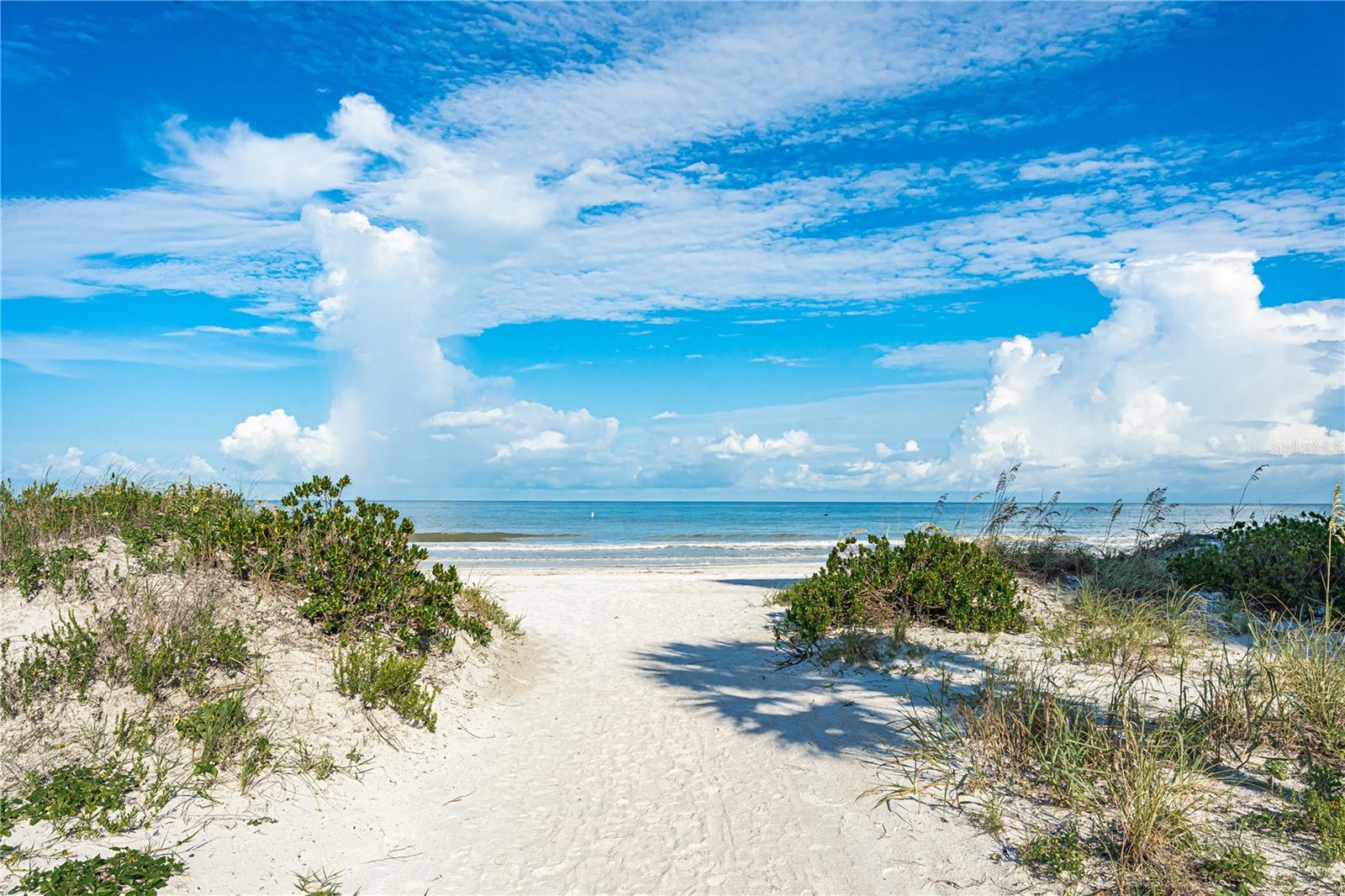 Listing photo id 31 for 900 Gulf Boulevard 702