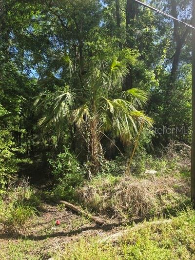 Image 2 of 4 For 0 Fort Dade Avenue