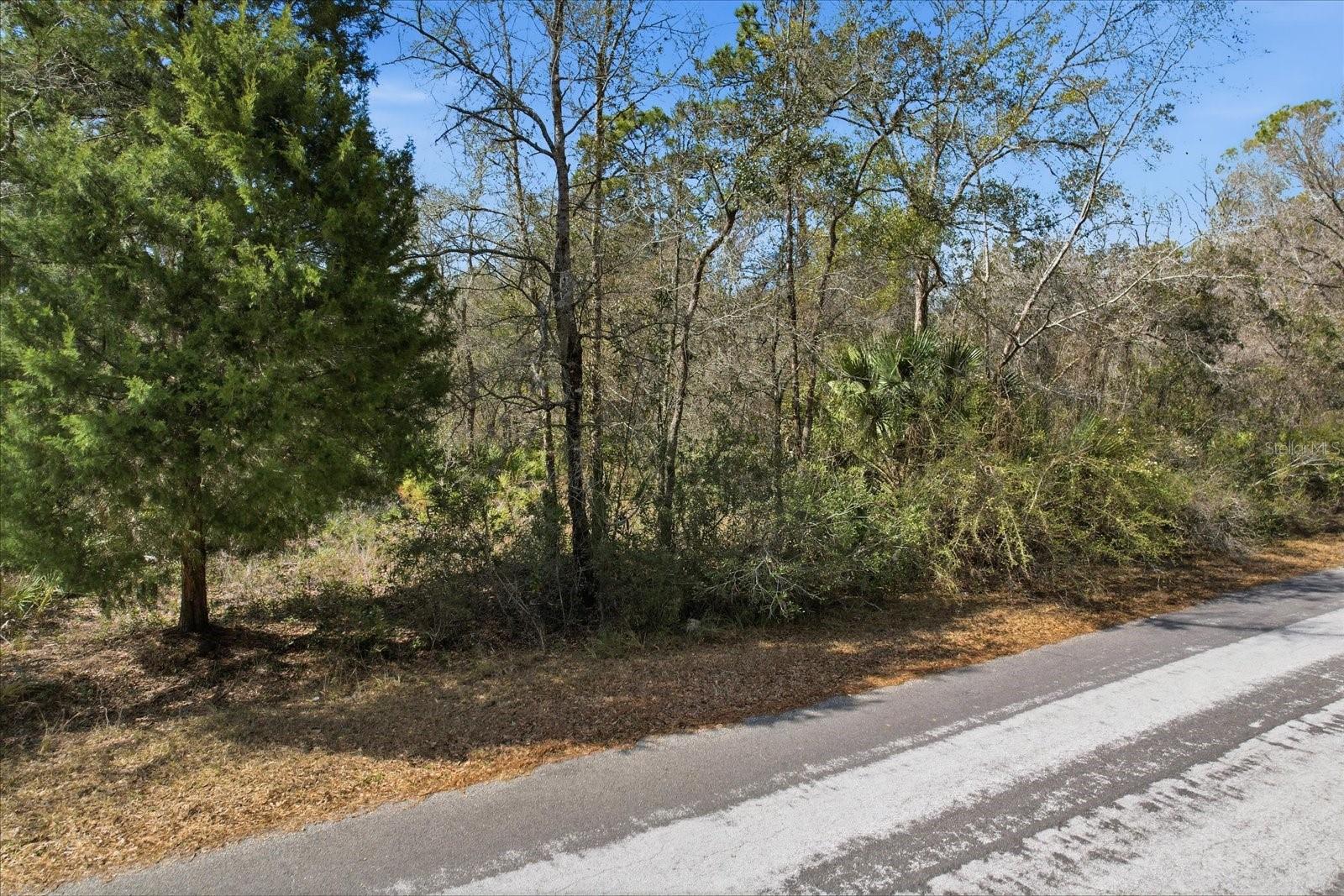 Image 10 of 13 For 9568 Dawnflower Avenue