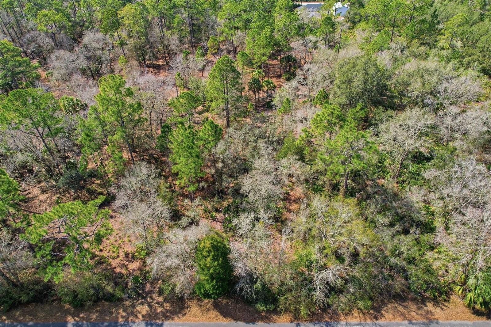 Image 12 of 13 For 9568 Dawnflower Avenue