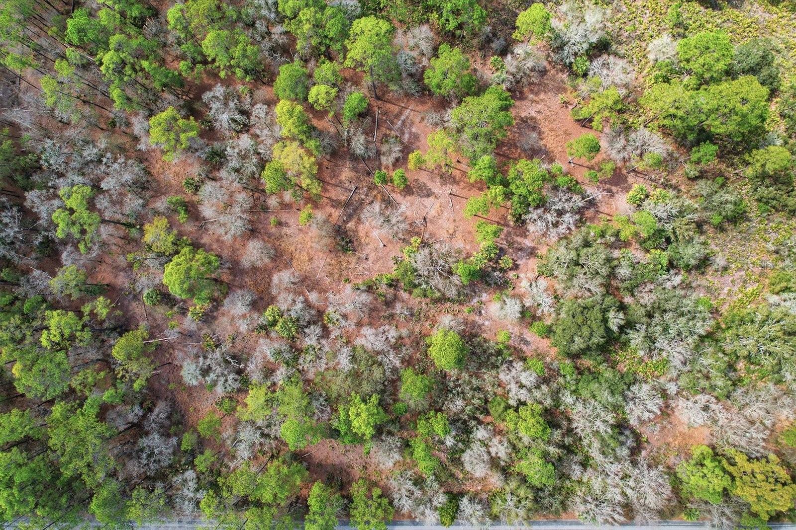 Image 13 of 13 For 9568 Dawnflower Avenue