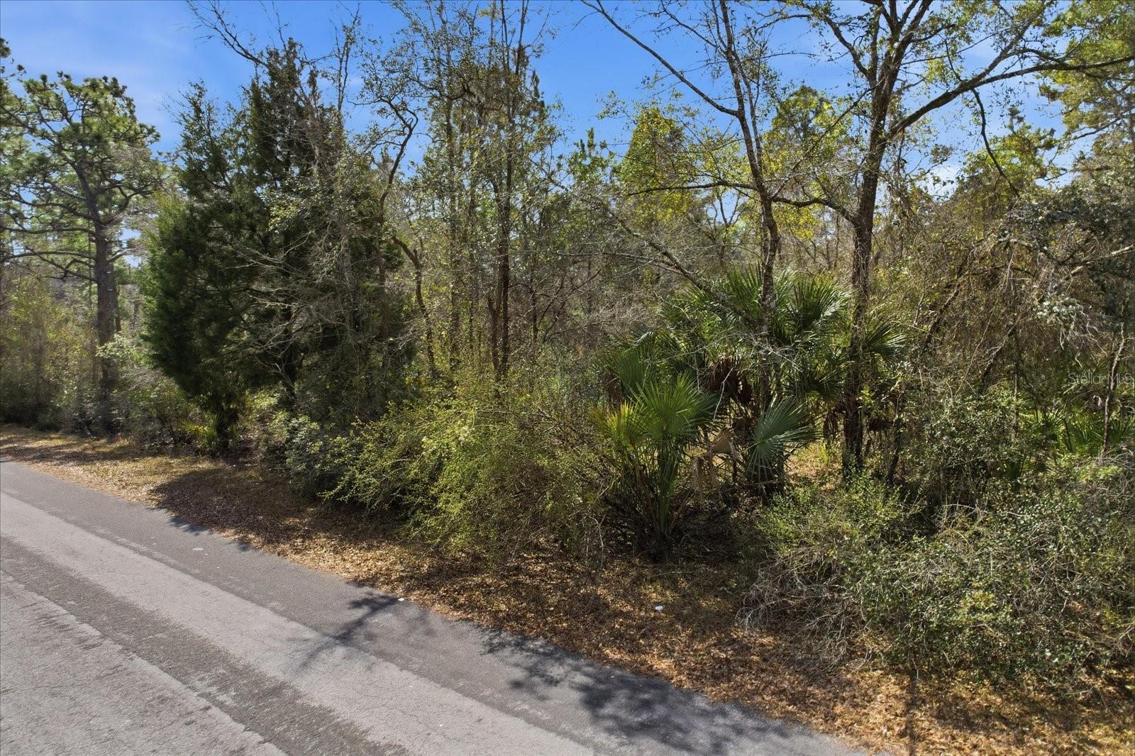 Image 2 of 13 For 9568 Dawnflower Avenue