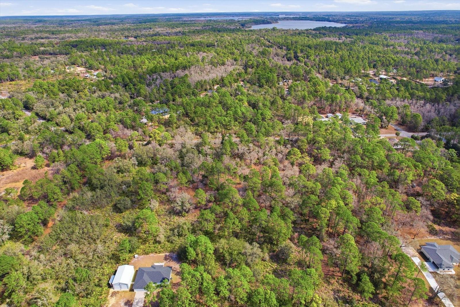 Image 3 of 13 For 9568 Dawnflower Avenue