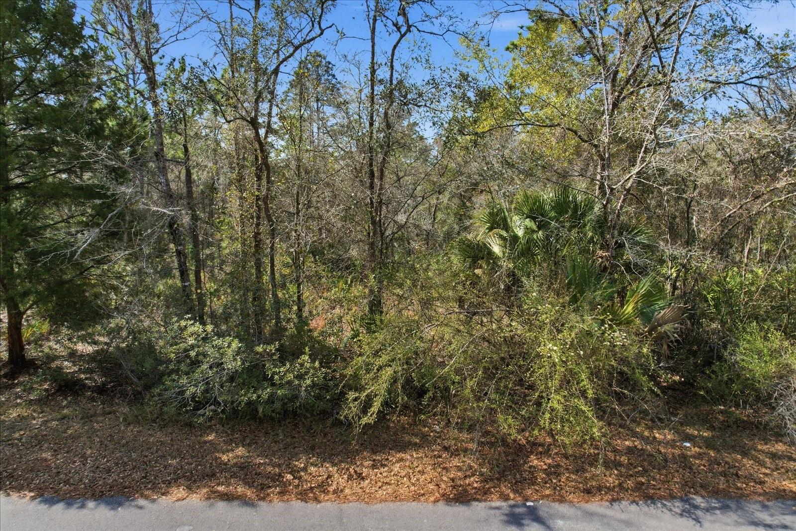 Image 5 of 13 For 9568 Dawnflower Avenue