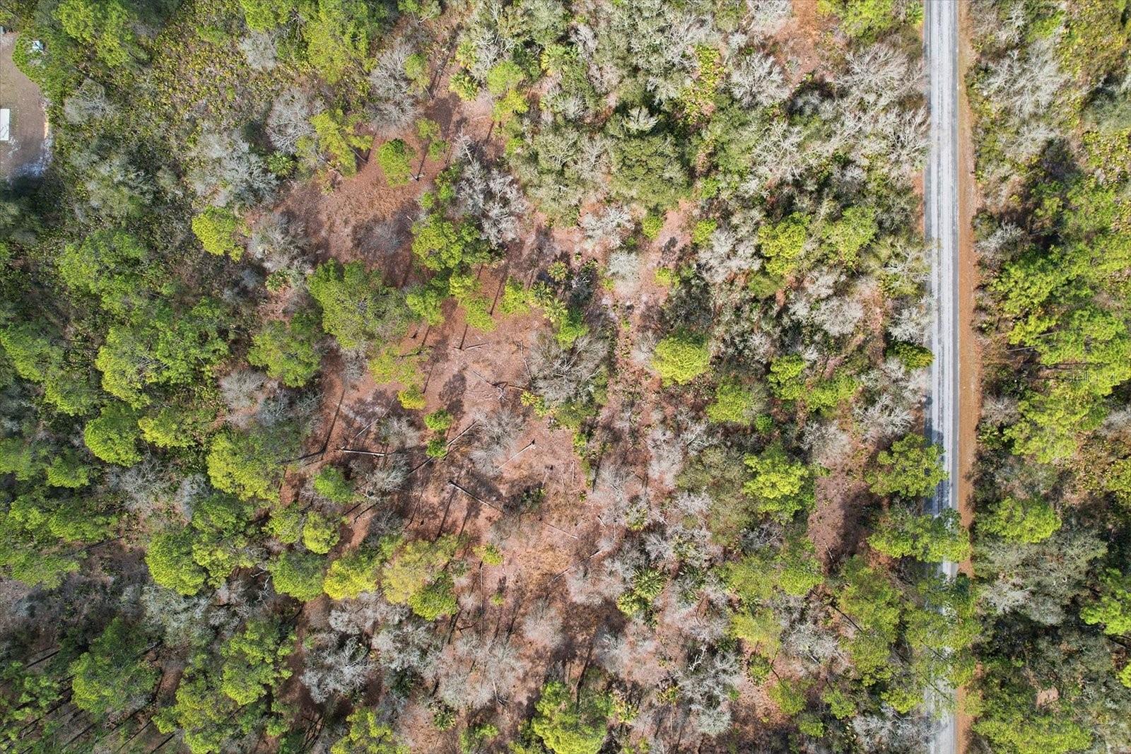 Image 6 of 13 For 9568 Dawnflower Avenue