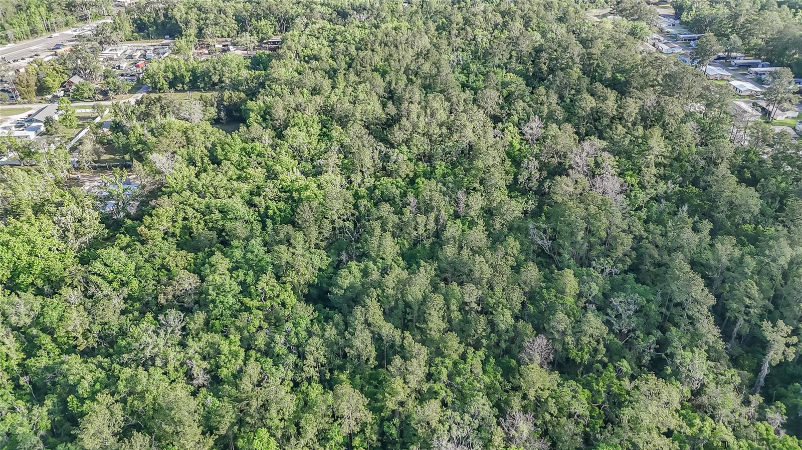 Image 3 of 7 For  Vfw Road 