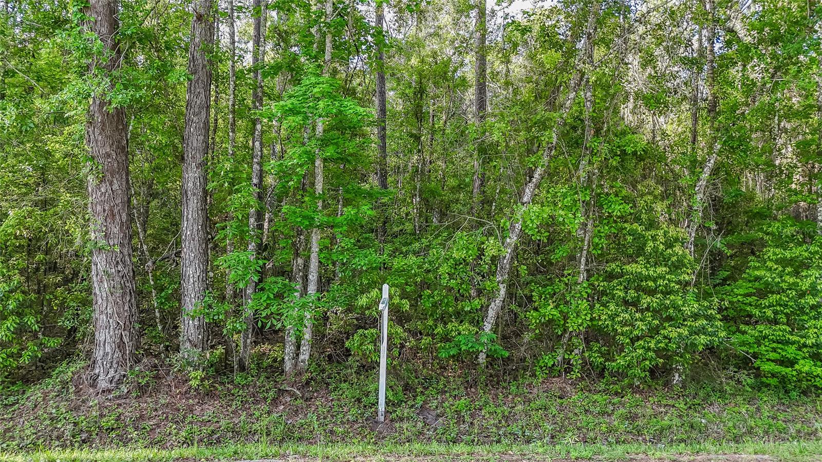 Image 7 of 7 For  Vfw Road 