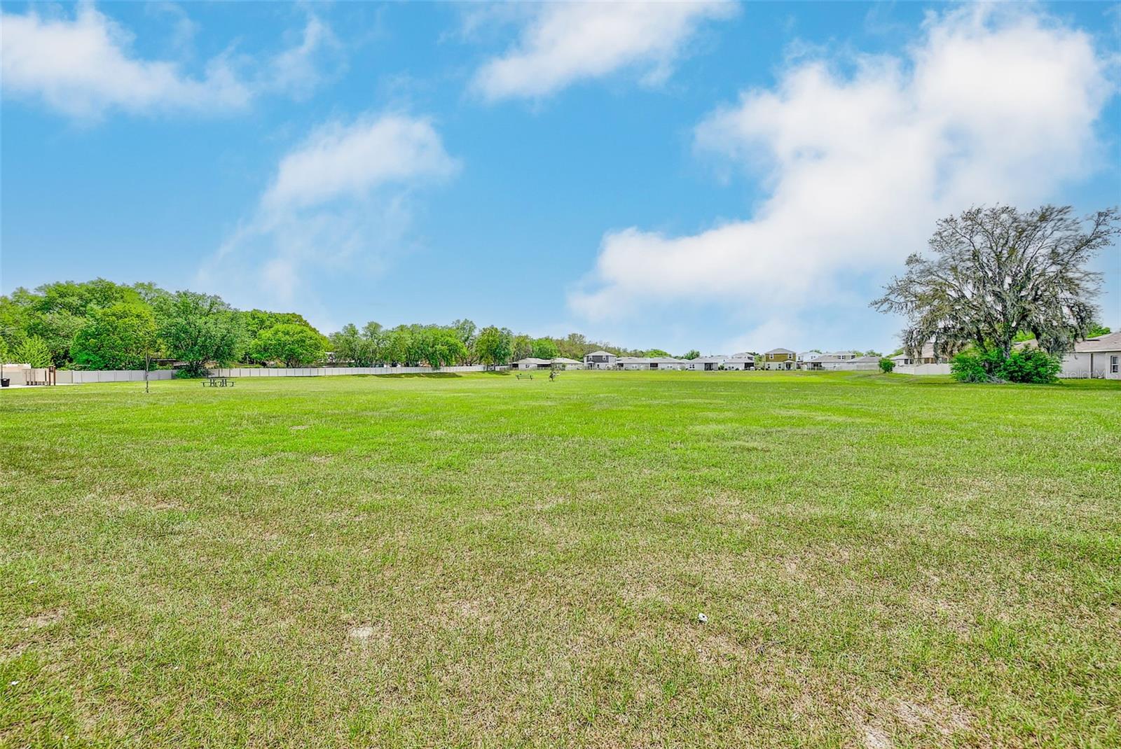 Image 47 of 56 For 35206 Brienne Street