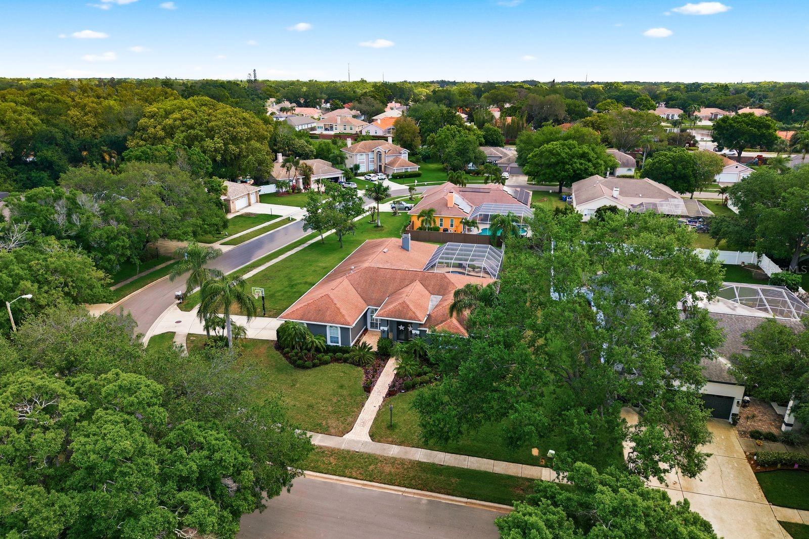 Image 65 of 65 For 2016 Swan Lane