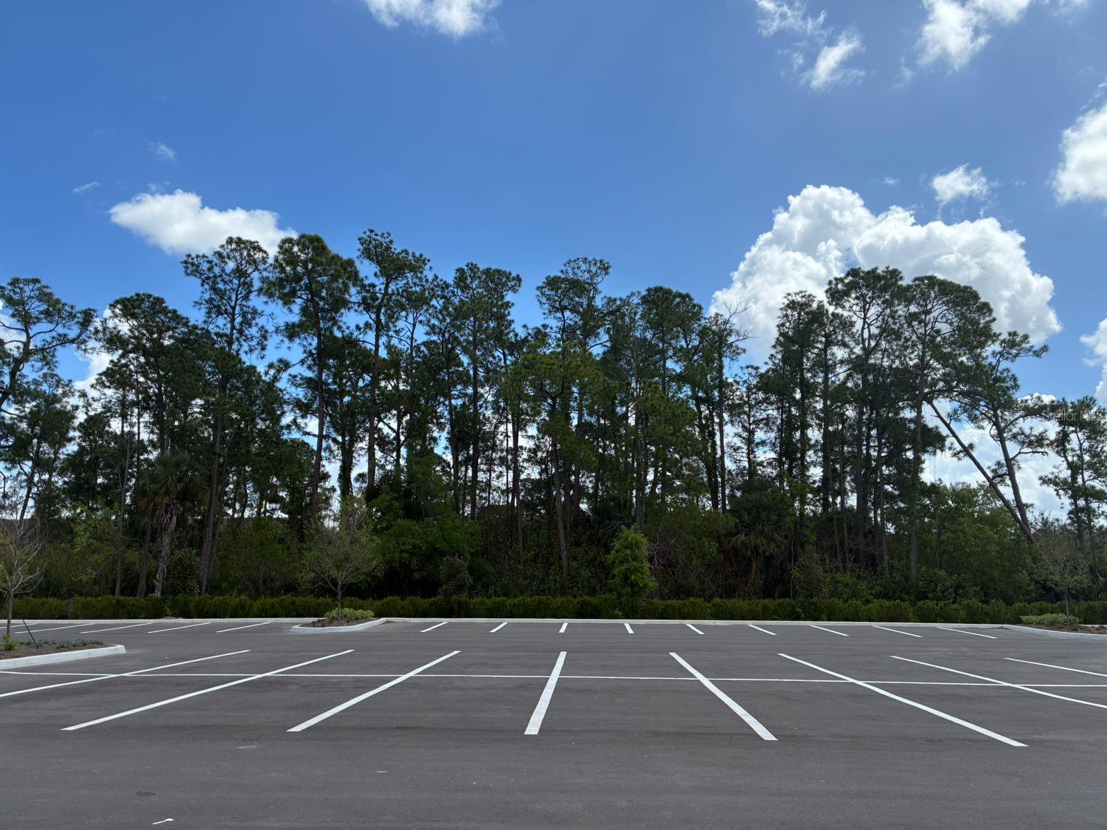 Image 6 of 72 For 5587 Millenia Park Boulevard 301