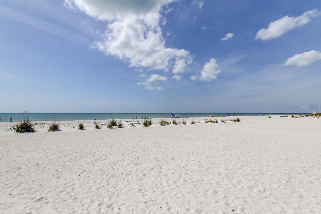 Image 16 of 31 For 317 12th Avenue