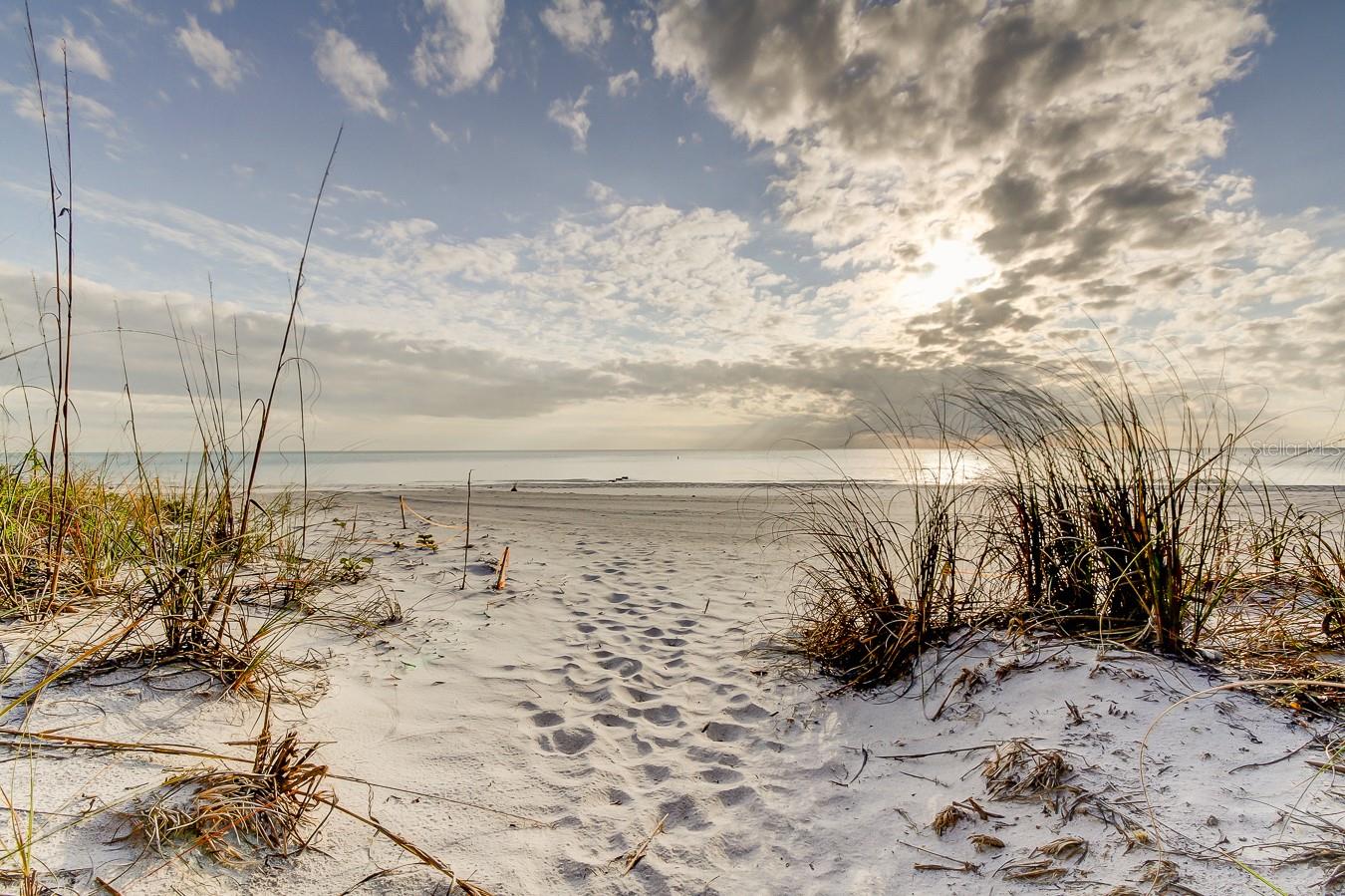 Image 17 of 31 For 317 12th Avenue