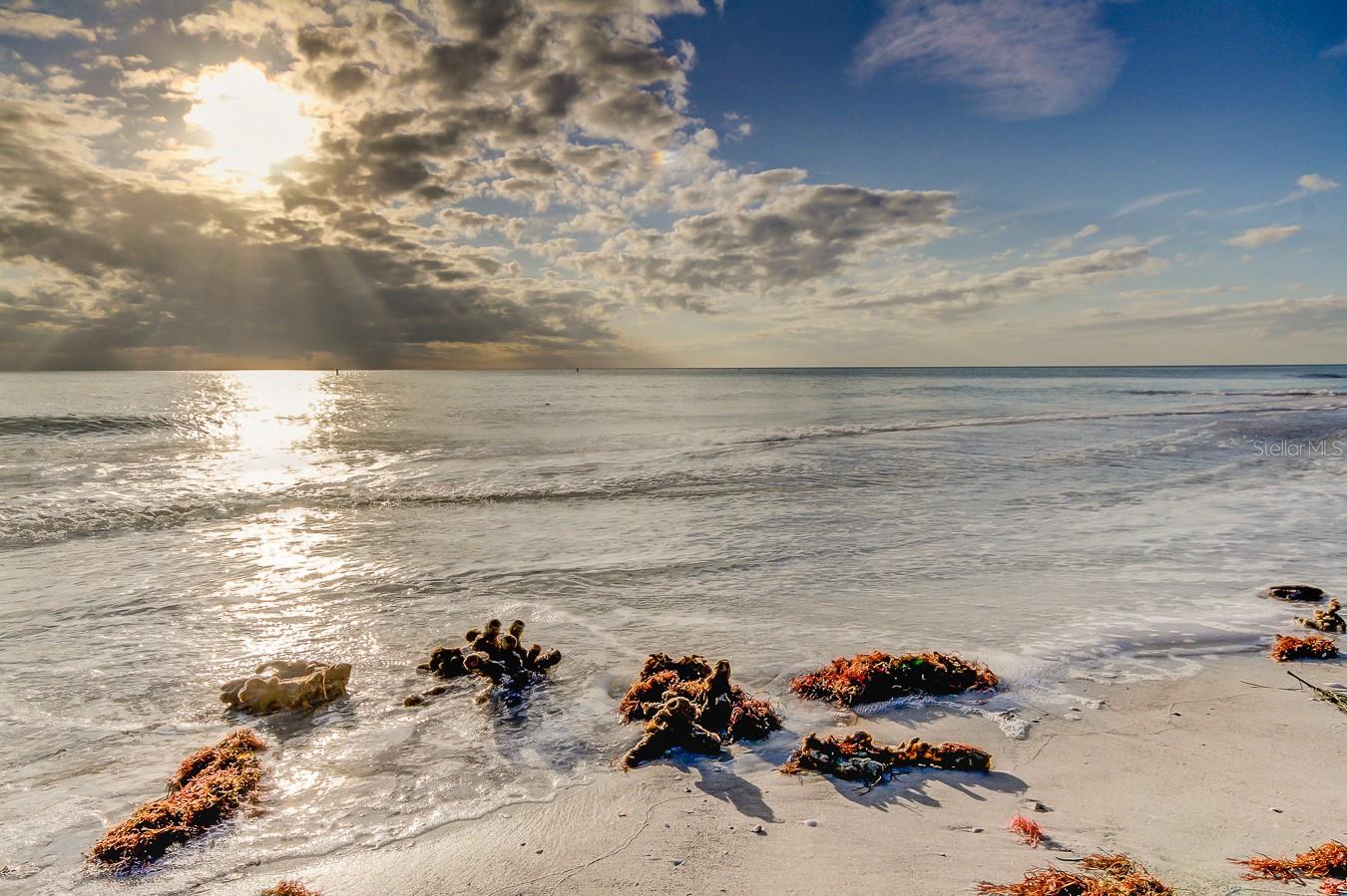 Image 18 of 31 For 317 12th Avenue