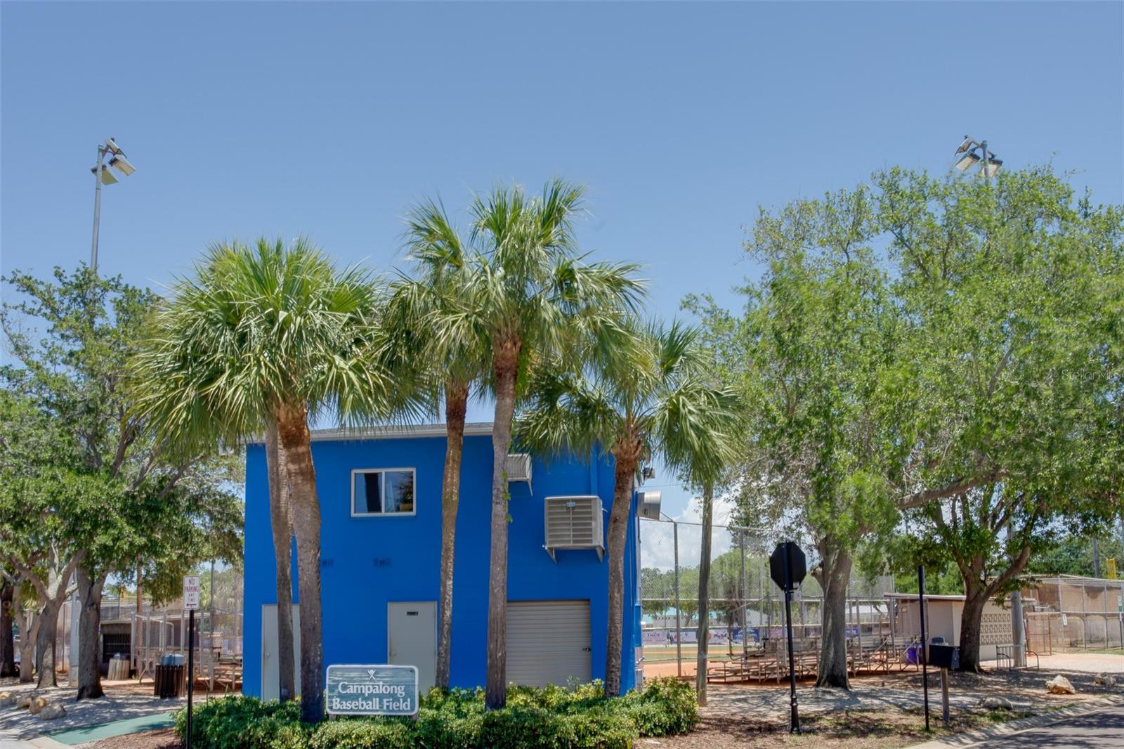 Image 23 of 31 For 317 12th Avenue