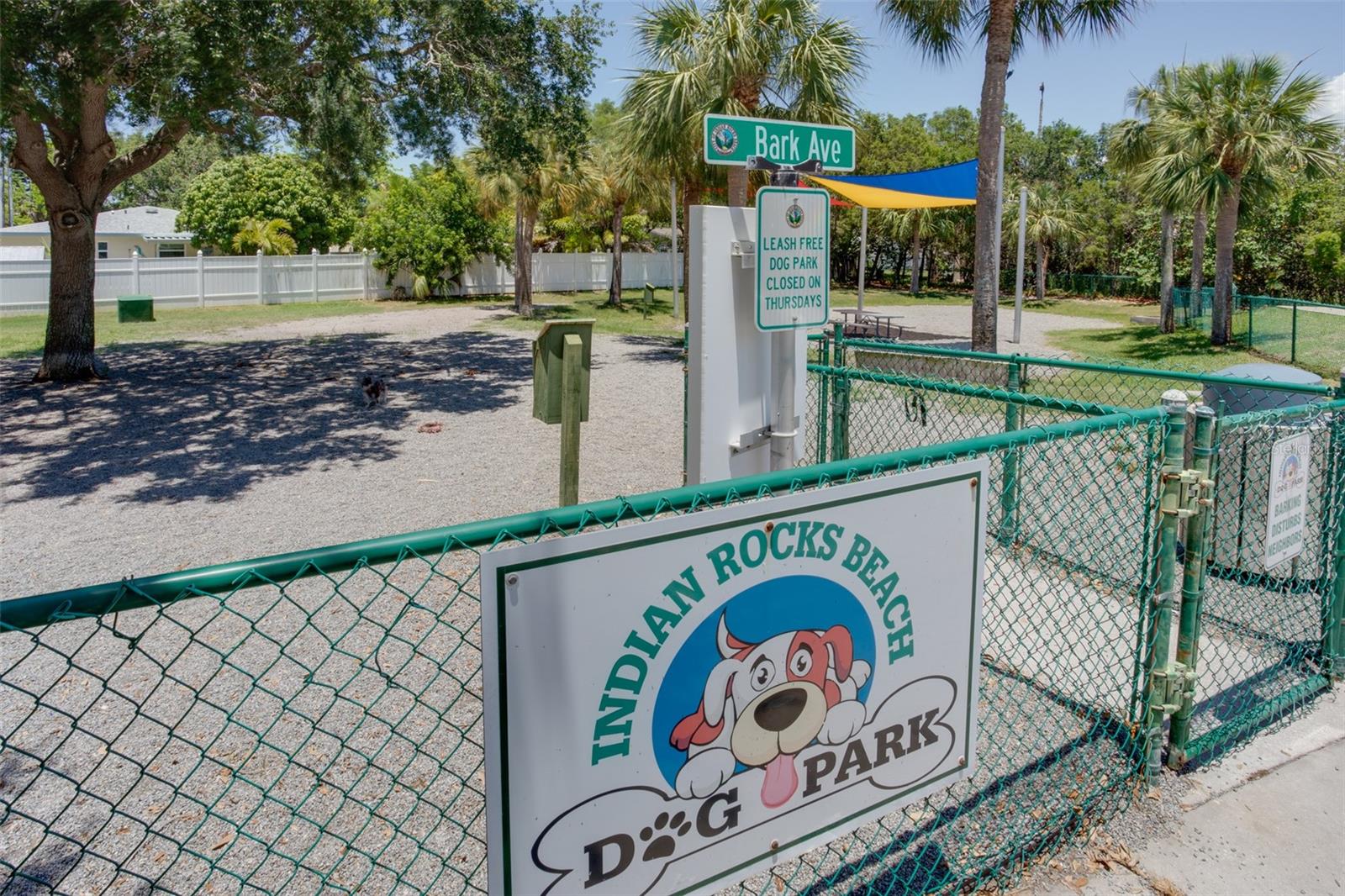 Image 24 of 31 For 317 12th Avenue