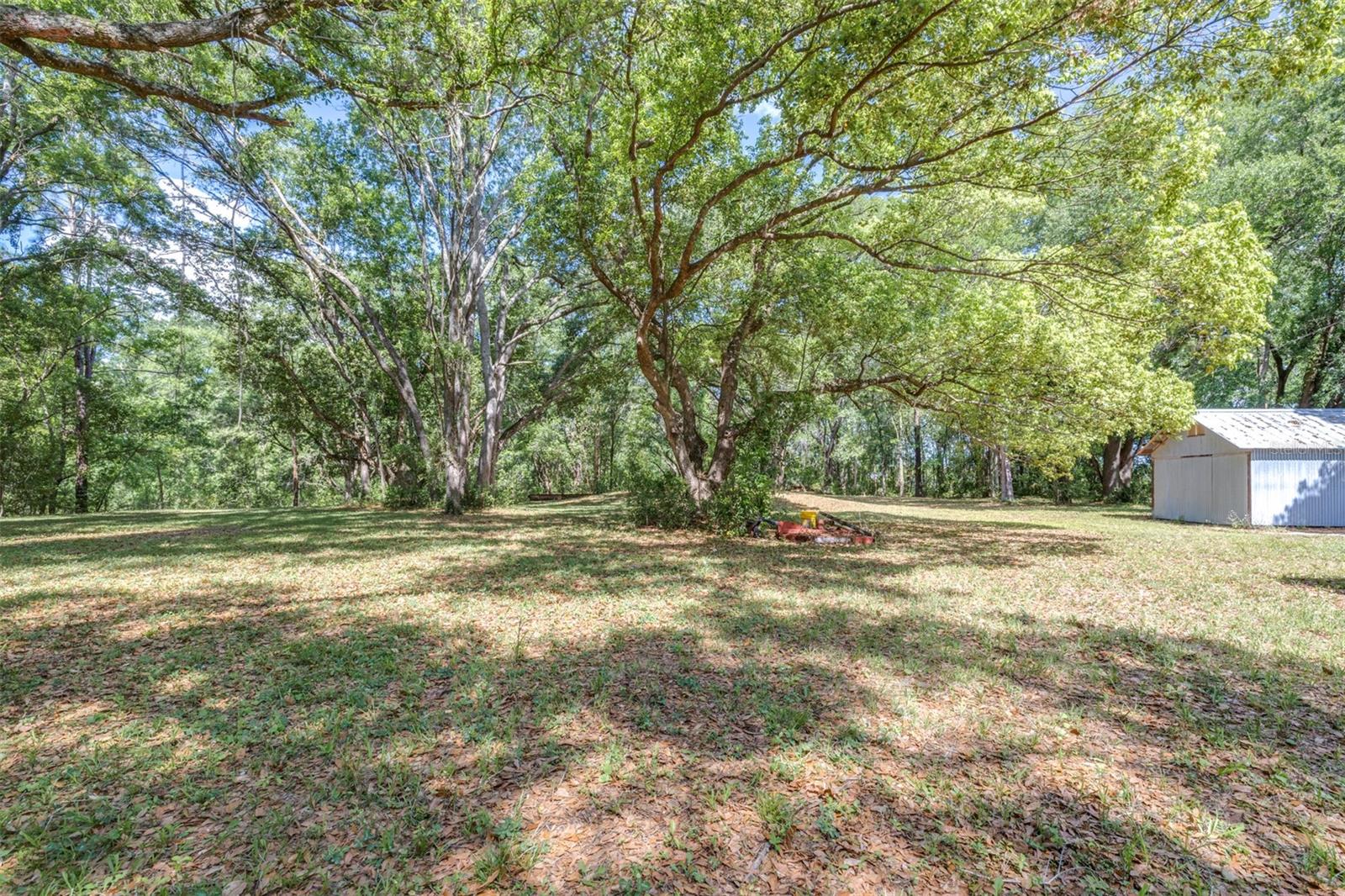 Image 11 of 36 For 28616 Tupper Road