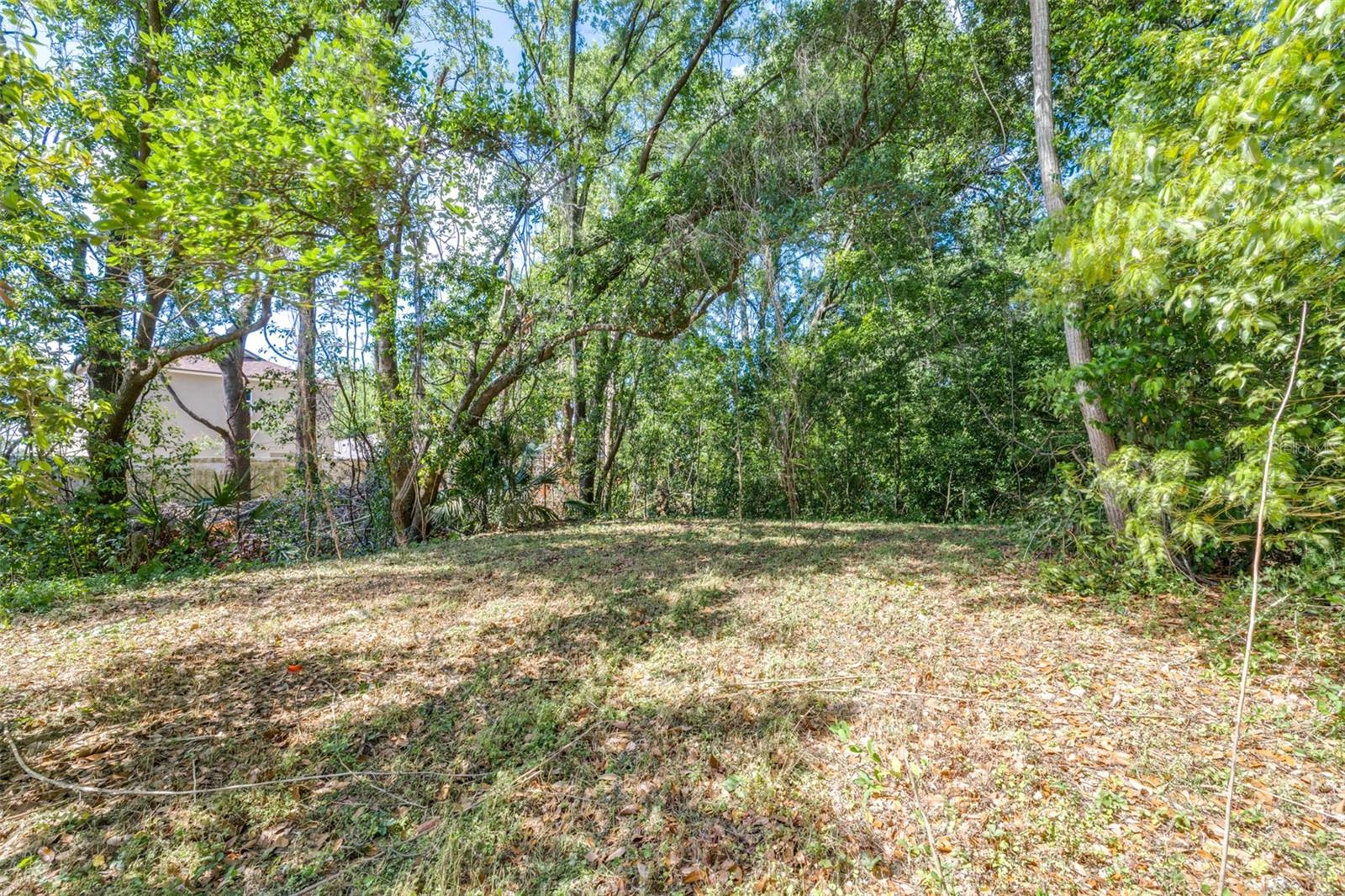 Image 14 of 36 For 28616 Tupper Road