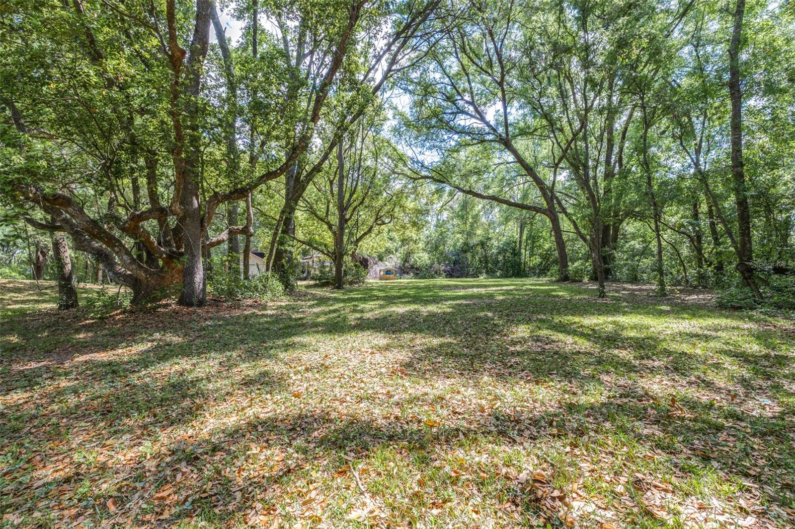 Image 15 of 36 For 28616 Tupper Road