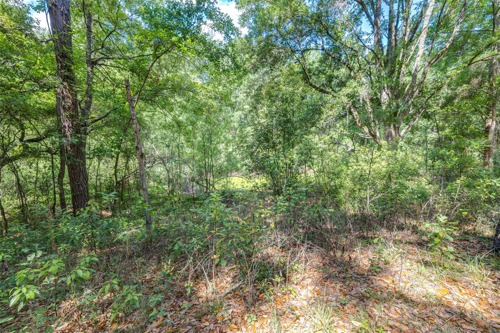 Image 16 of 36 For 28616 Tupper Road