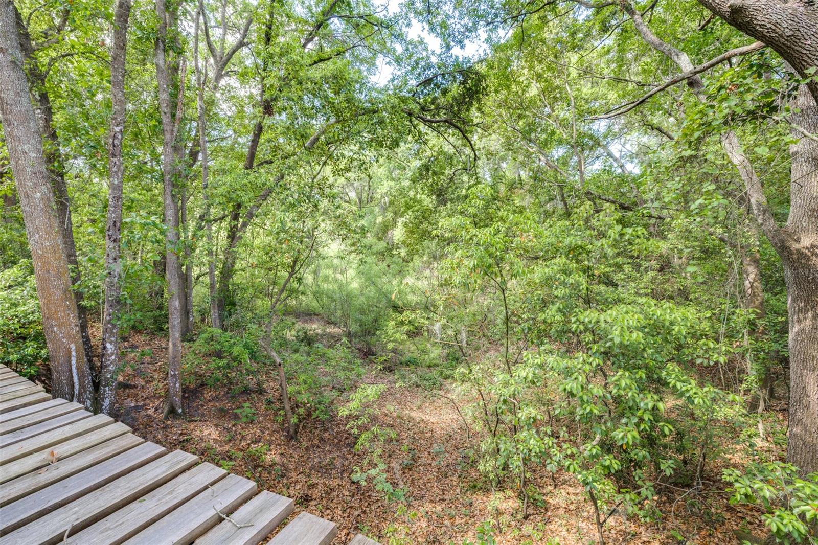 Image 17 of 36 For 28616 Tupper Road