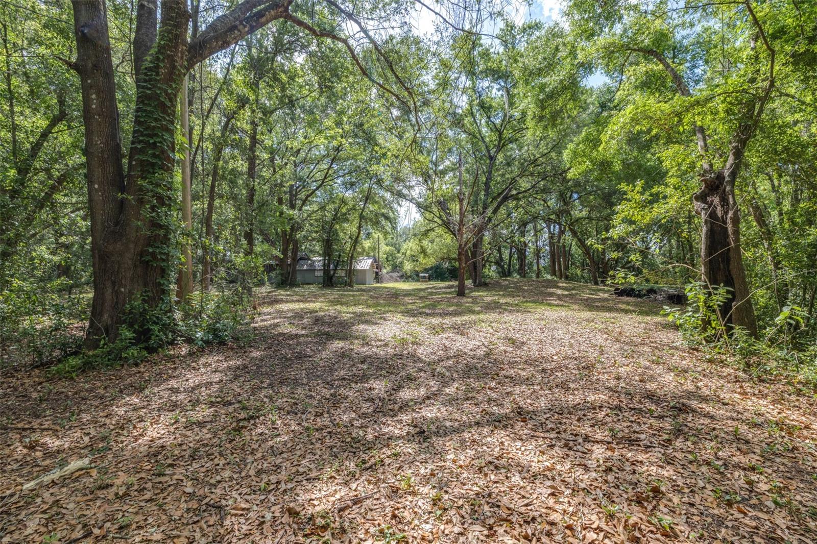 Image 4 of 36 For 28616 Tupper Road