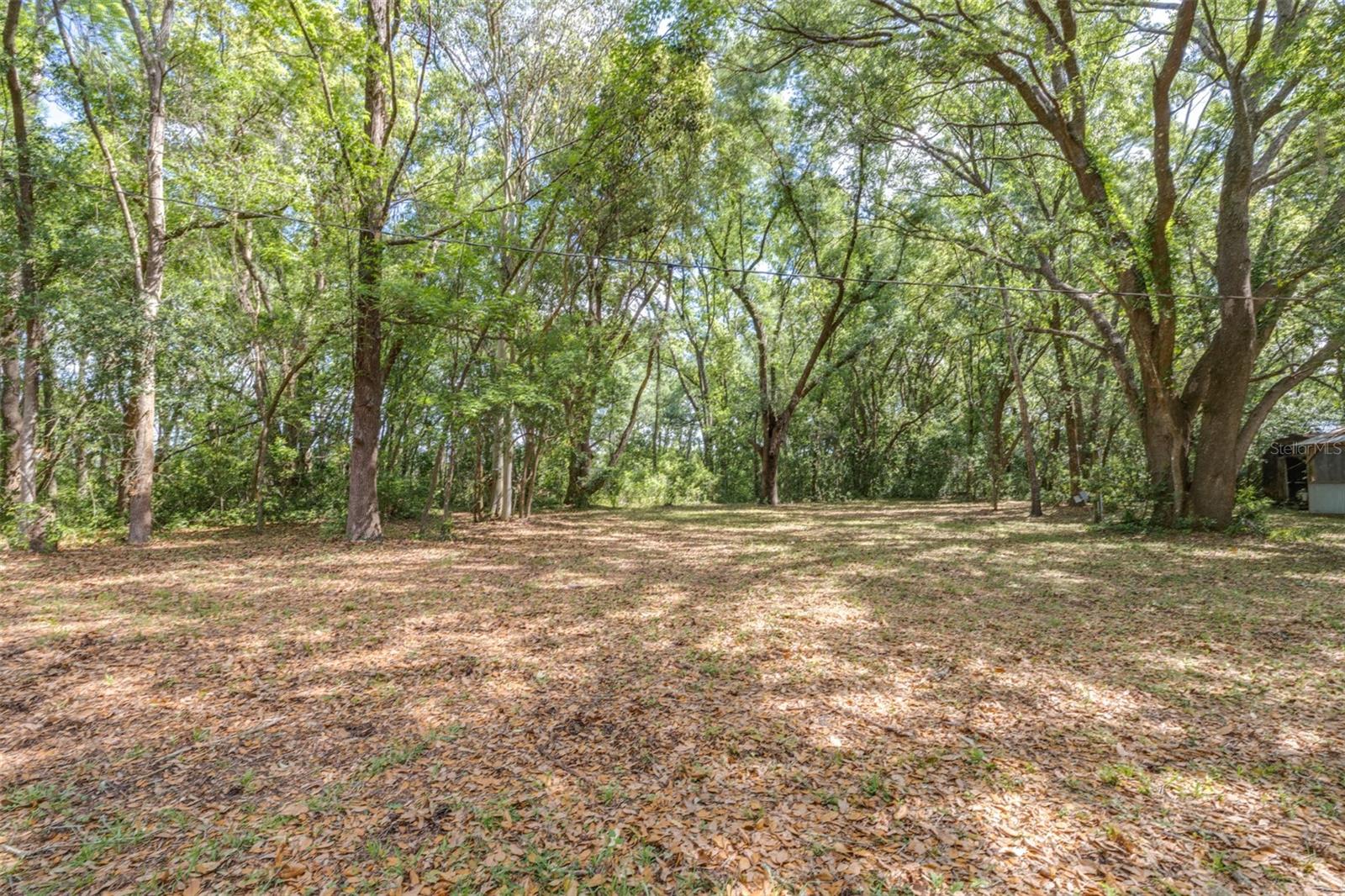 Image 6 of 36 For 28616 Tupper Road