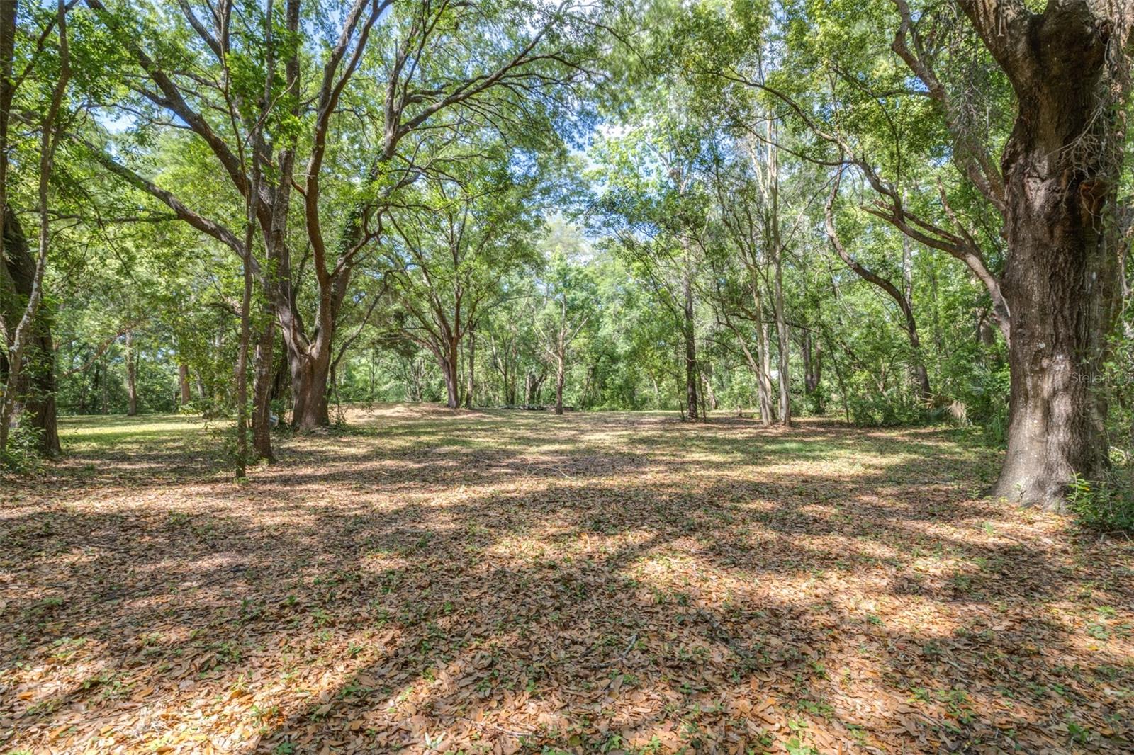 Image 7 of 36 For 28616 Tupper Road