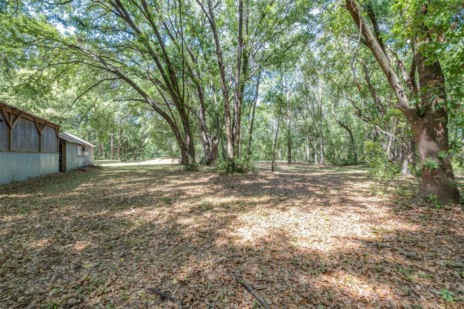 Image 8 of 36 For 28616 Tupper Road