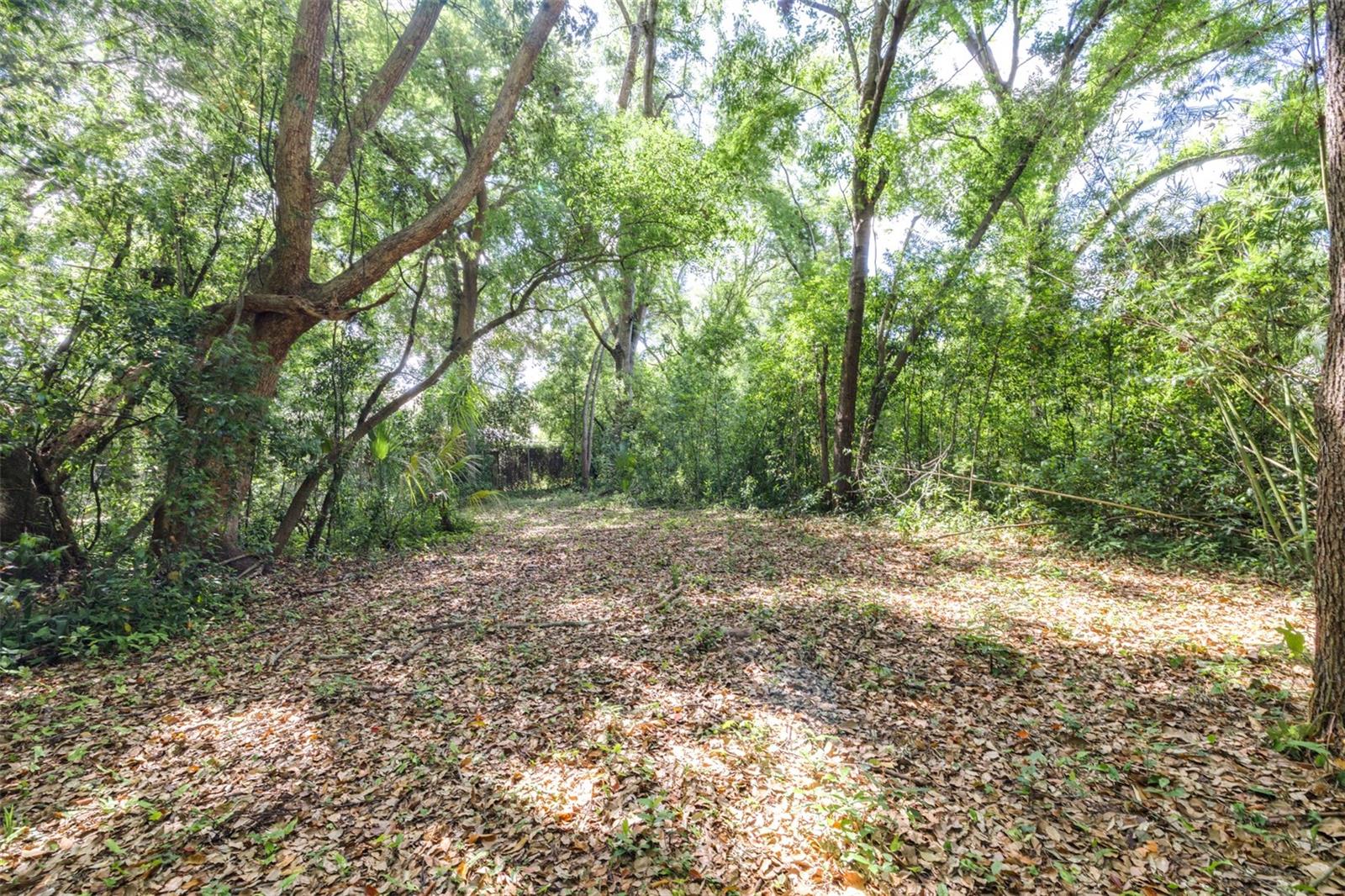 Image 9 of 36 For 28616 Tupper Road