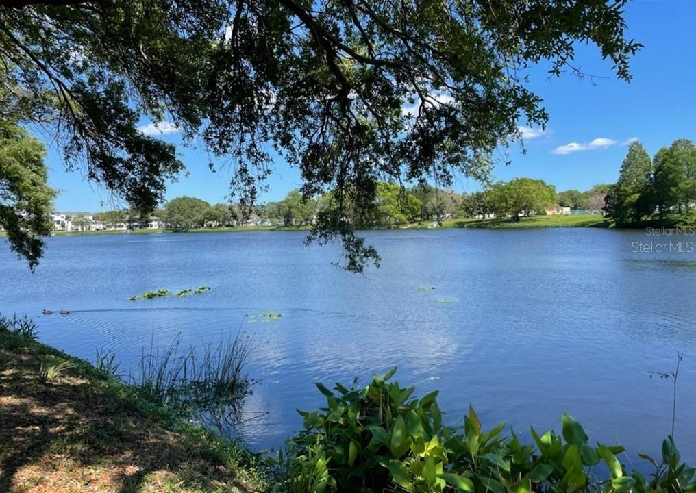 Image 37 of 38 For 2624 12th Street N 3