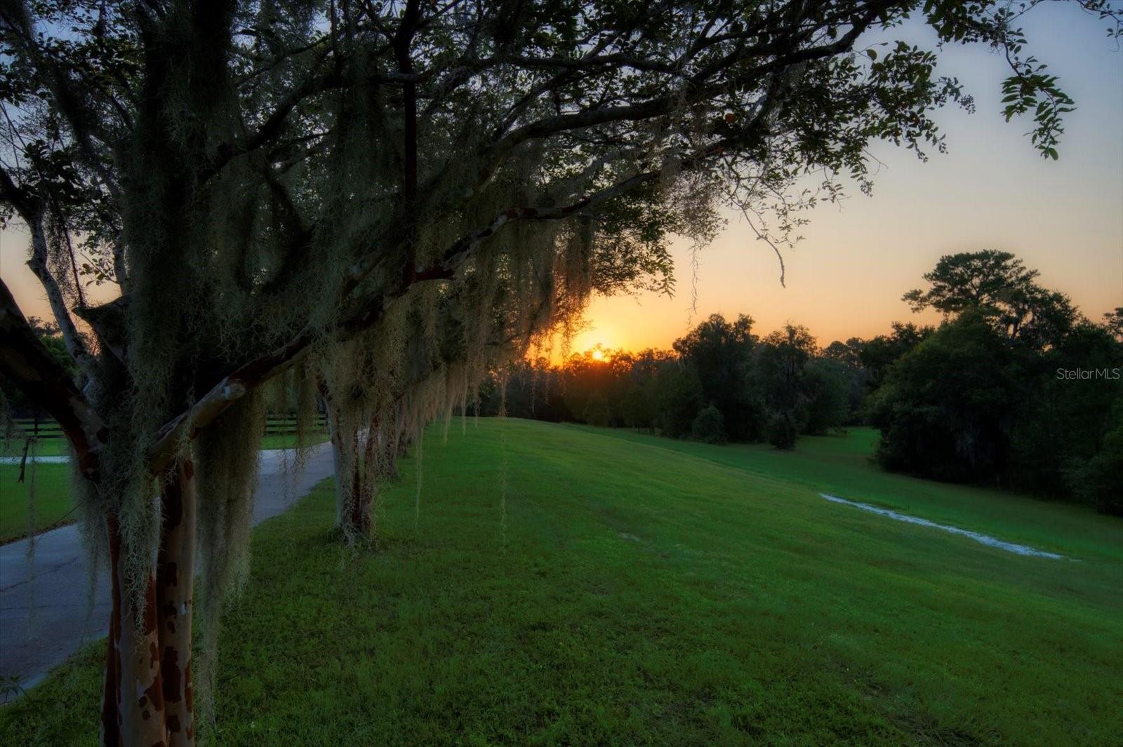 Listing photo id 89 for 7650 Whippoorwill Terrace