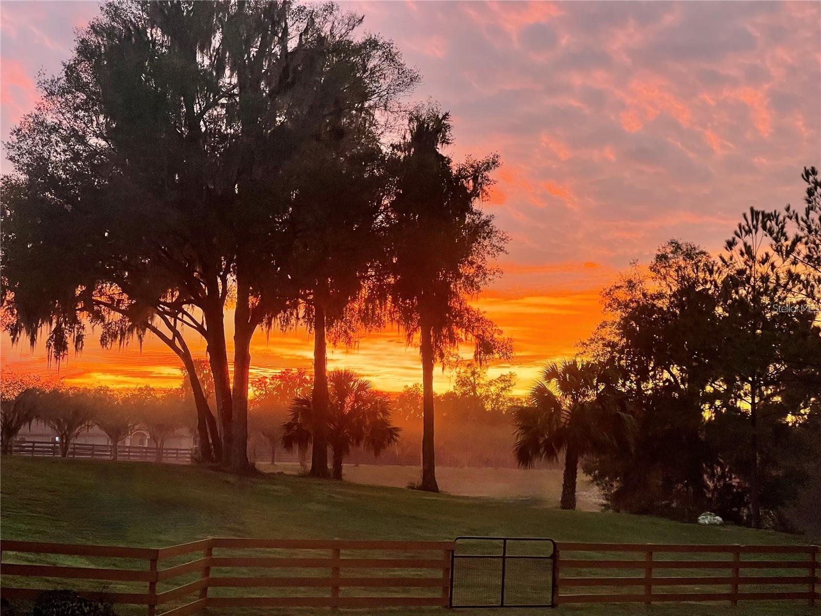 Listing photo id 92 for 7650 Whippoorwill Terrace