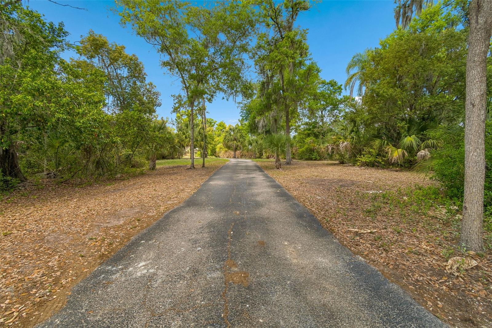 Listing photo id 62 for 2708 Bell Shoals Road