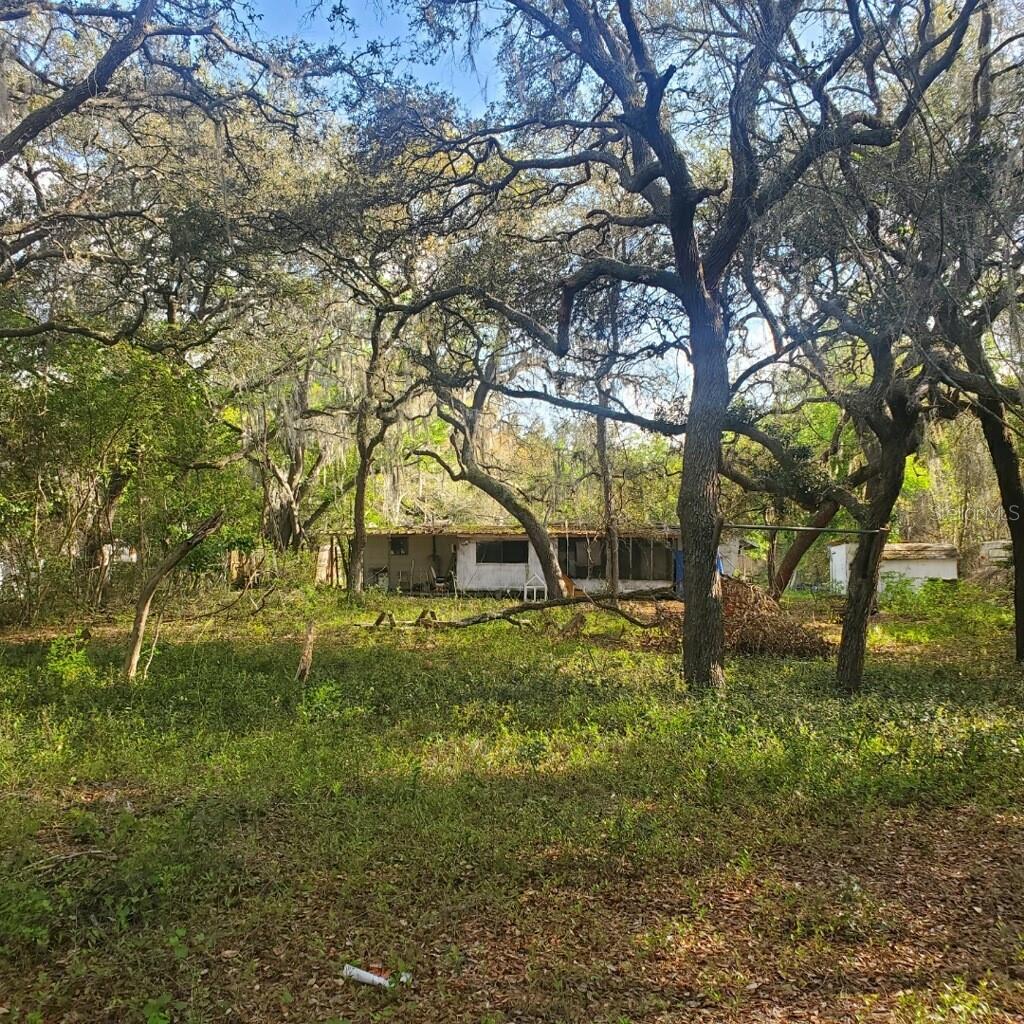 Details for 17461 10th Street, SILVER SPRINGS, FL 34488