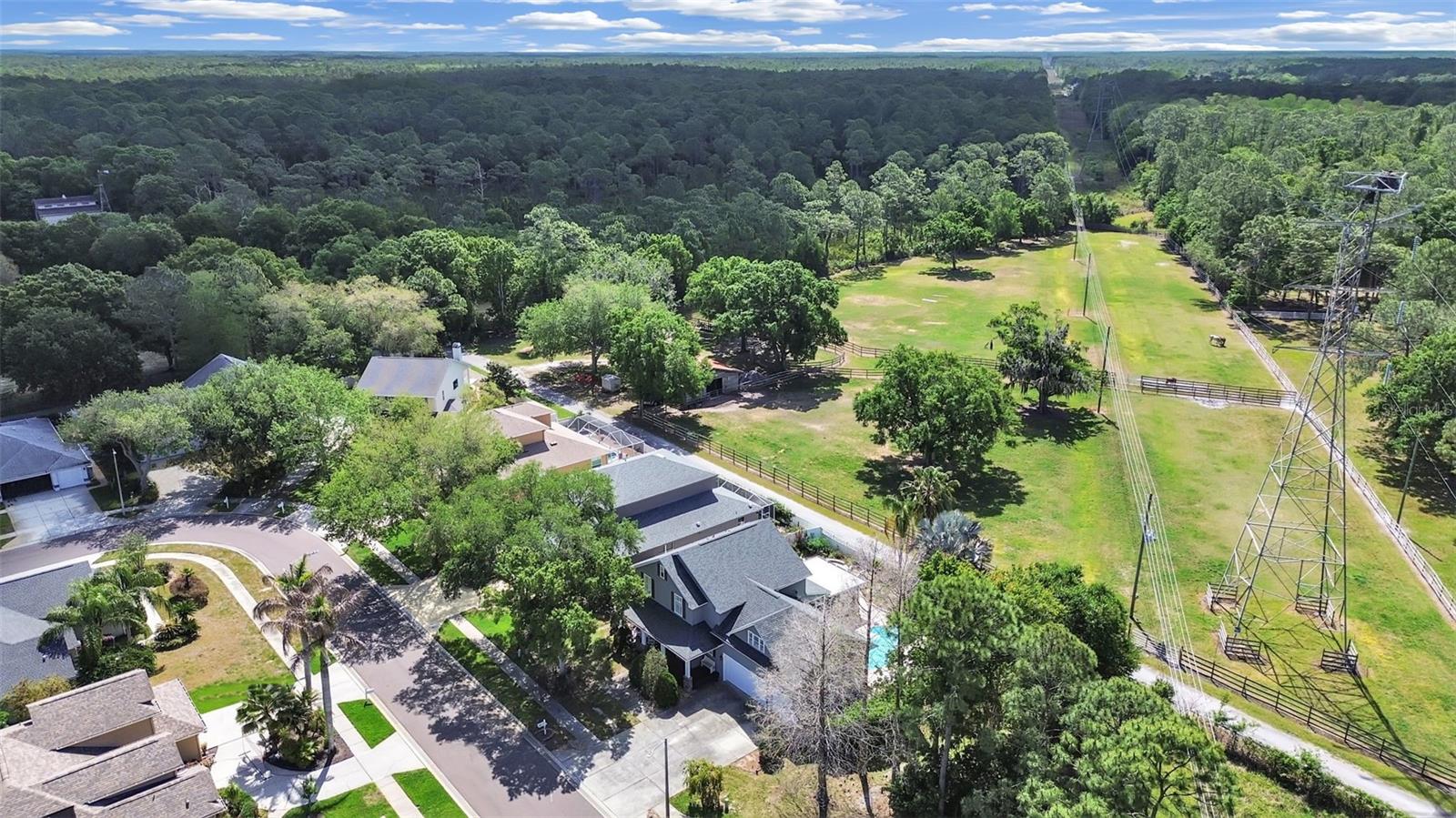 Image 44 of 49 For 1083 Misty Hollow Lane