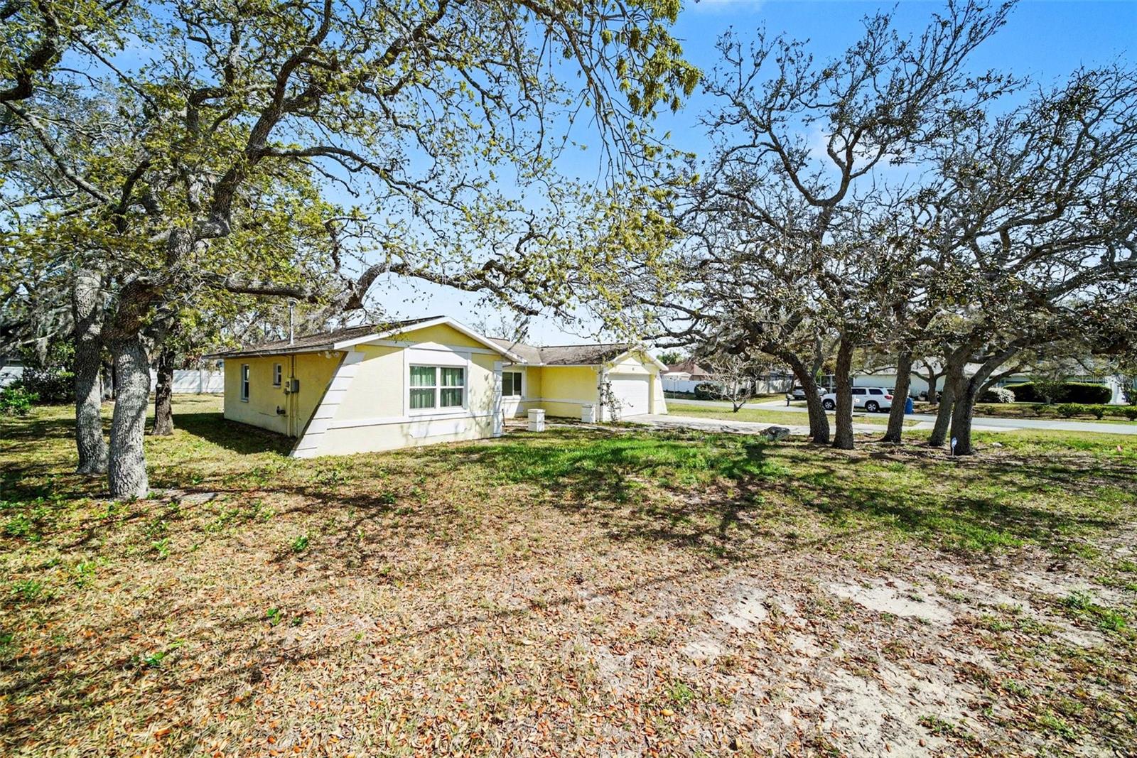 Listing photo id 0 for 113 Ruskin Avenue