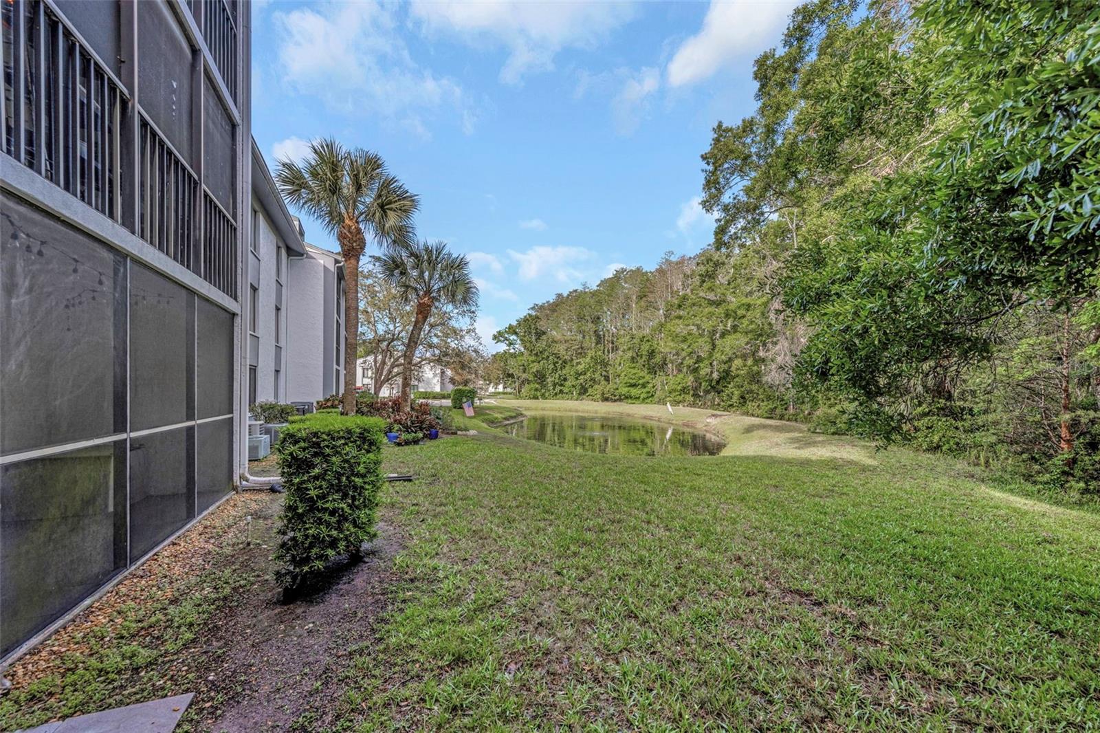 Image 37 of 50 For 1308 Pine Ridge Circle E H1