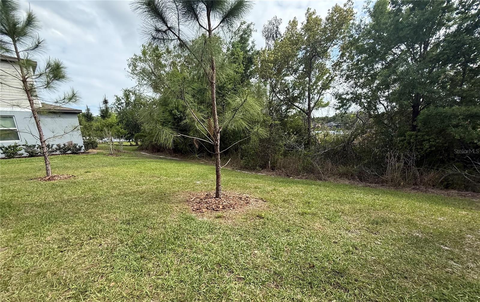 Image 15 of 15 For 21312 Darter Road