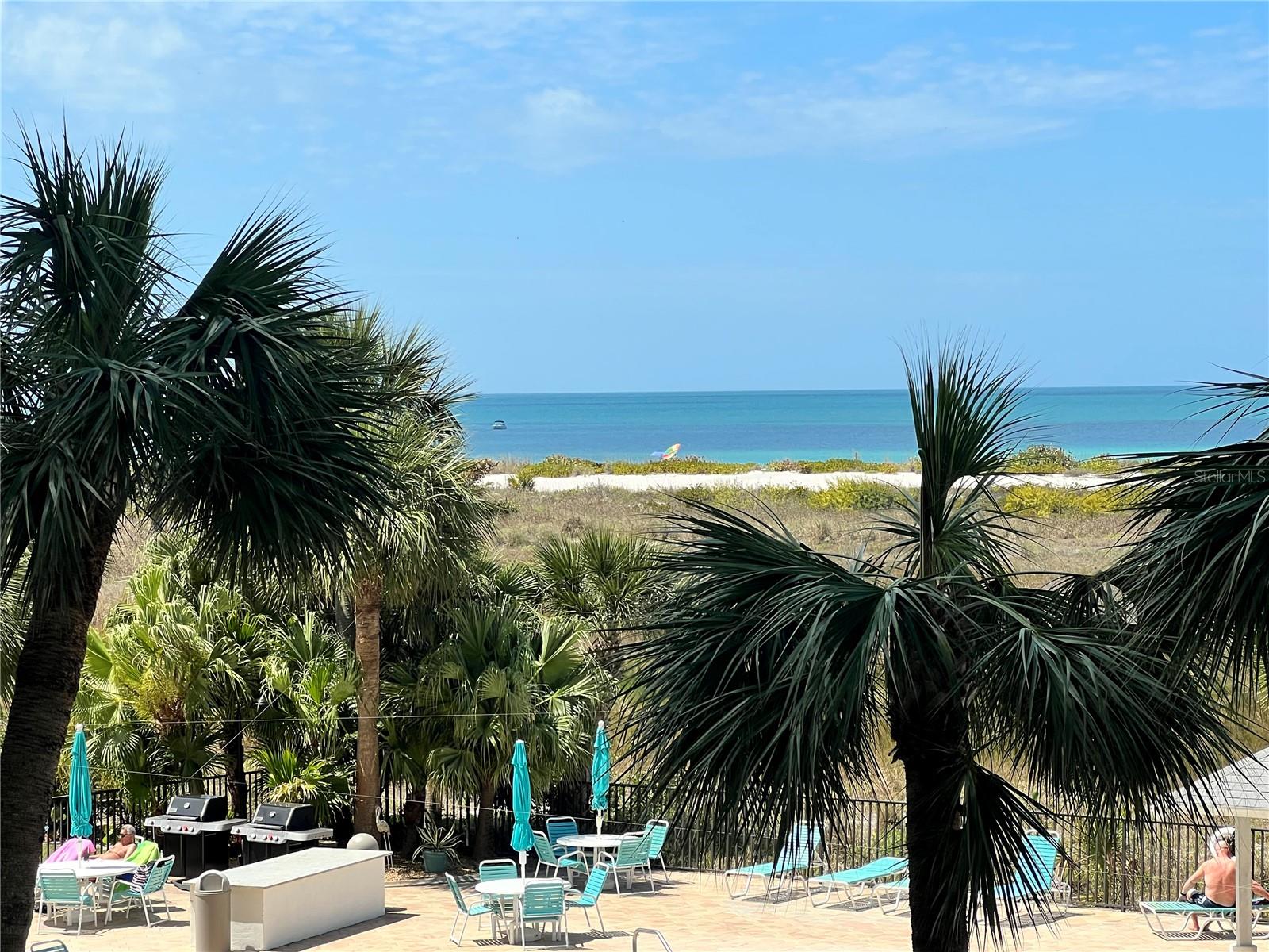 Image 25 of 31 For 1230 Gulf Boulevard 304