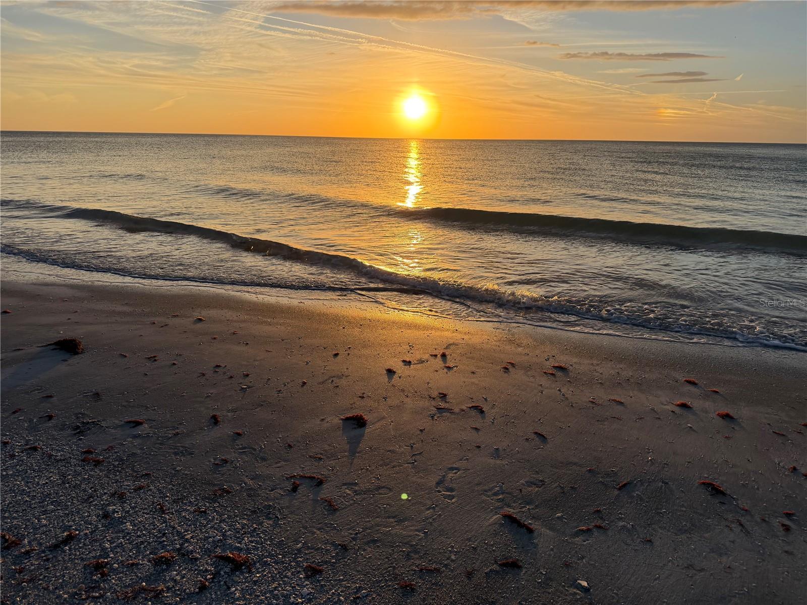 Image 28 of 31 For 1230 Gulf Boulevard 304