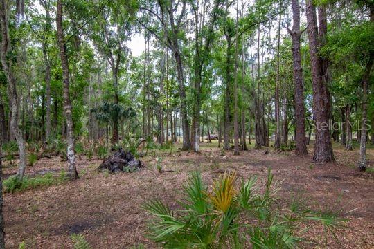 Listing photo id 27 for 5400 Bruton Road