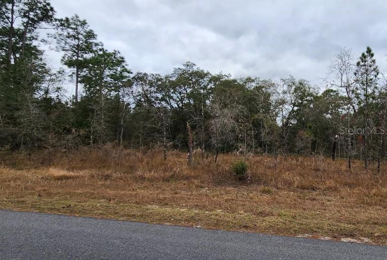 Listing Details for 12425 Maleo Road, WEEKI WACHEE, FL 34614