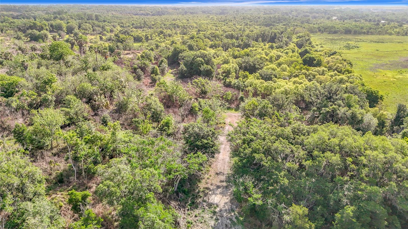 Image 38 of 45 For 7607 Williams Road