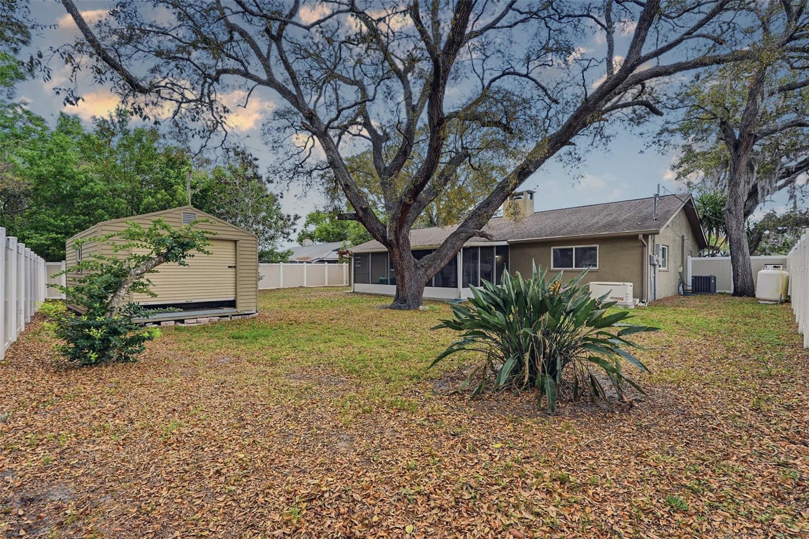 Image 39 of 49 For 9062 Blackstone Street