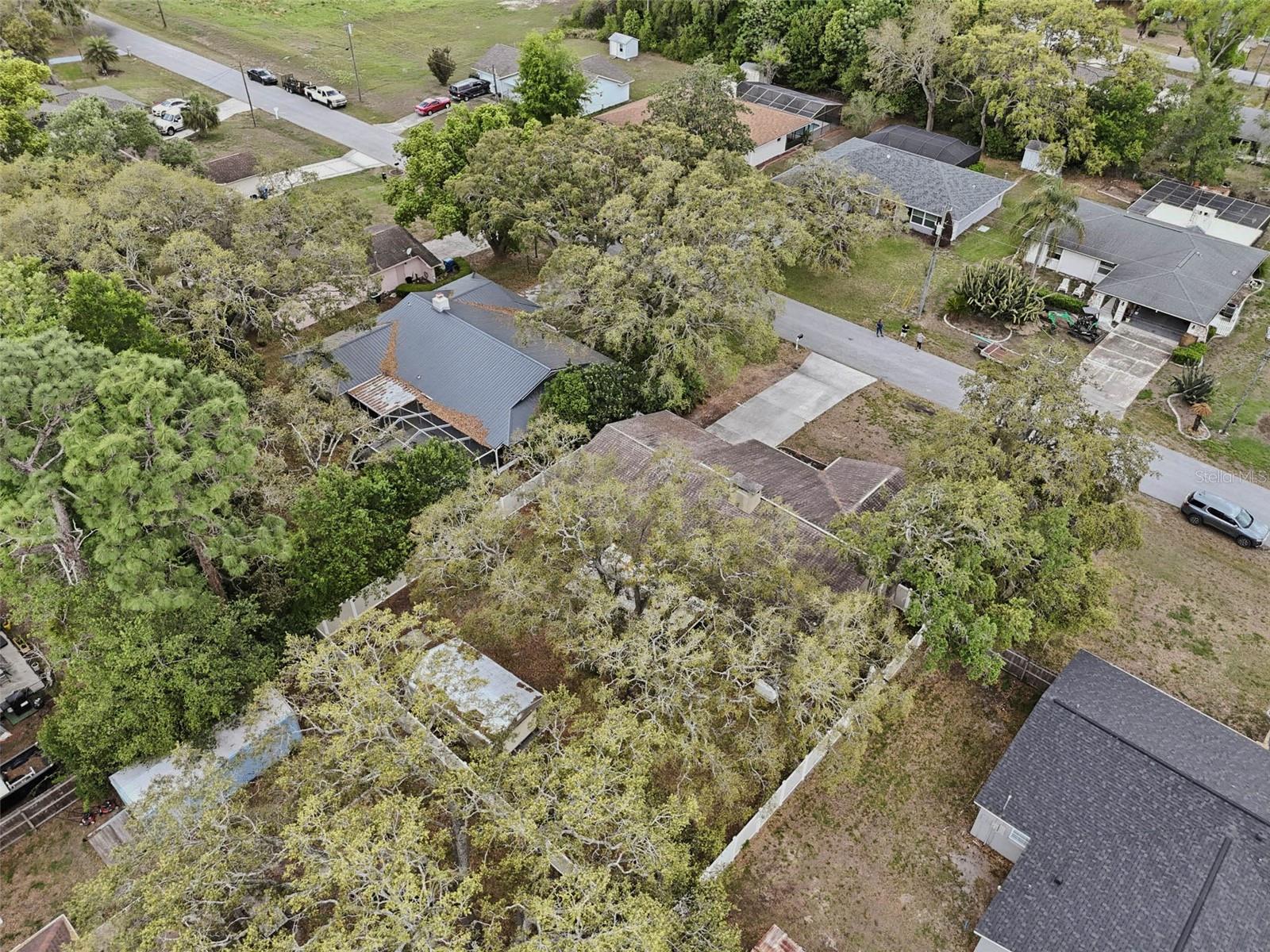 Image 42 of 49 For 9062 Blackstone Street